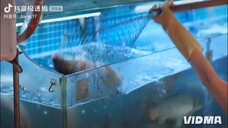 Một Chùm Nắng Cả Trời Yêu Tập 1 ( Khương Thập Thất , Vương Đạo Thiết )