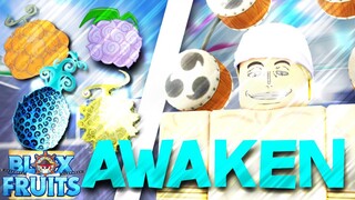 Rumble Awakened vs ALL Awakened Fruits on BLOX FRUITS