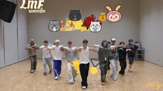 哦莫！是好久没见到“完整体”啊！【逐帧动画×LMF练习室】十三个小宝儿就要整整齐齐的！小动画&练习室的适配度真的一绝！！！