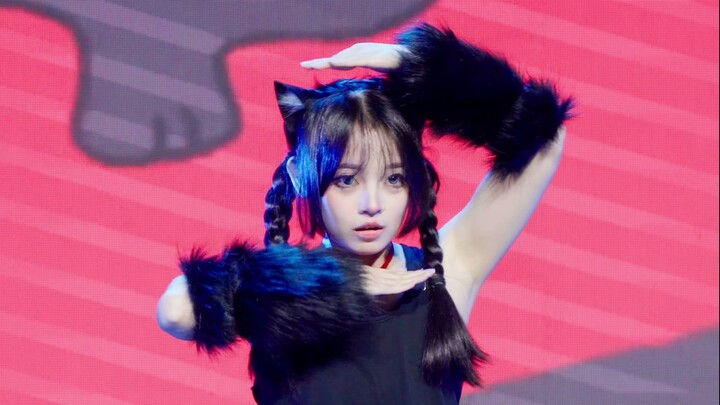 【Tìm kiếm Tzu】Bàn tay của mèo – Cuộc thi nhảy otaku sáng tạo Star Ball 4.0, 16/11/2025