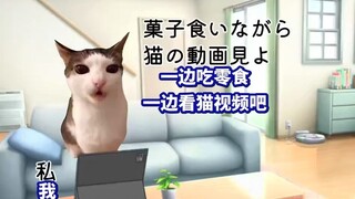 【熟肉】看太多猫meme视频的人的末路 | 猫meme