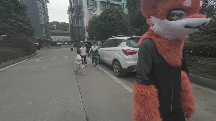 I’ve gone feral—some kids kept calling me “Furry” all the way.
