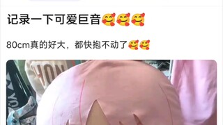 【MyGo】记录一下可爱巨音，80cm真的好大，都快抱不动了