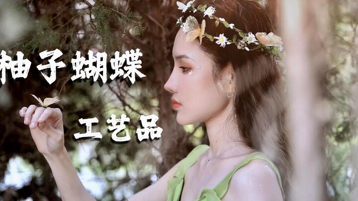 柚子蝴蝶 | Up主霍霍了柚子了一切，今天又来霍霍它的这层膜~