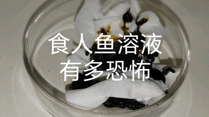 [Chemistry Experiment] The Dread of Piranha Solution