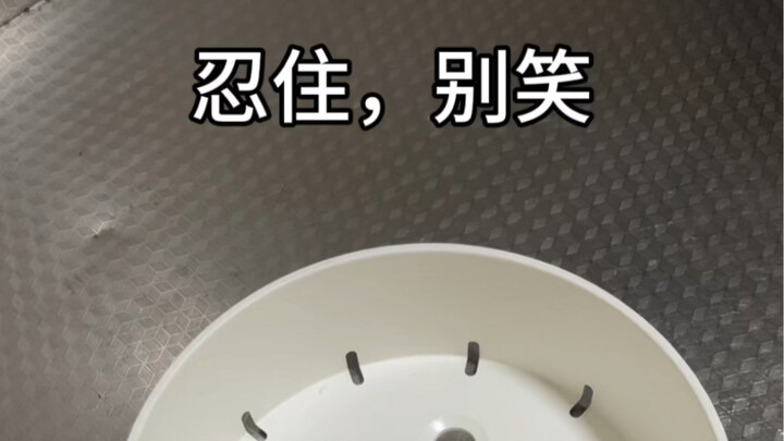 #6 Steamed Bun: How Will Mom Praise Me?