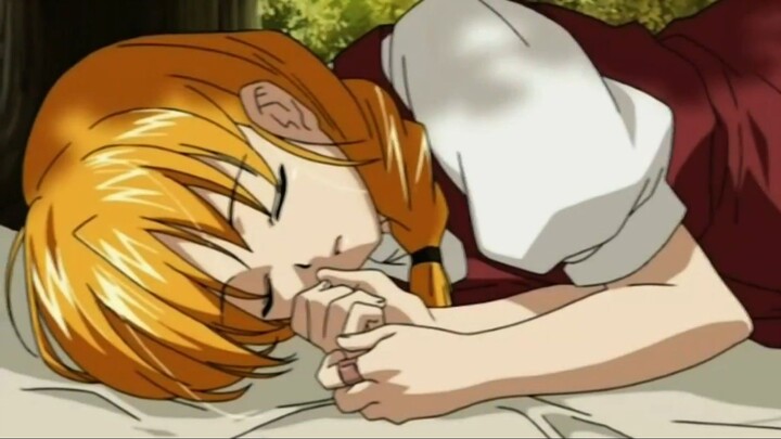 hide