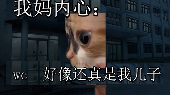 【Meme kucing】Melihat ada orang tua yang memarahi anaknya karena nakal, saya pun ikut nimbrung, terny