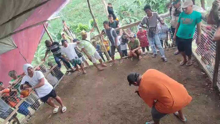 bisaya line