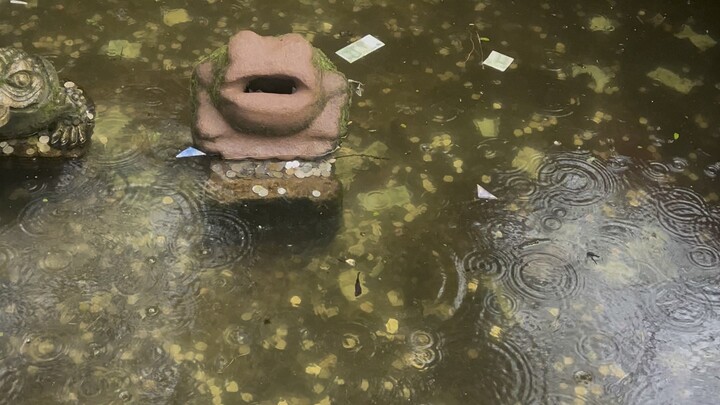 Qingcheng Mountain’s Master Pool & Wishing Pool: Three out of Four Hits!! Everyone who sees this get