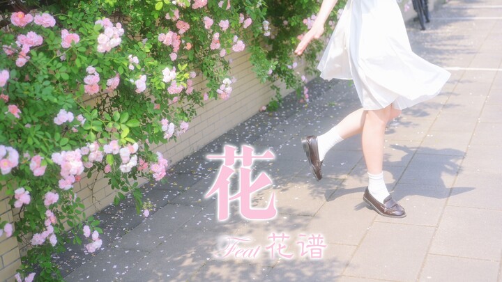 ‎✿Flower (feat.Flower Chart)❀Guiano⋆May you bloom like a flower【Meow Rabbit】
