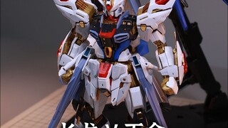 离谱 ko也打价格战！ MGEX强袭自由 长龙 五金对比