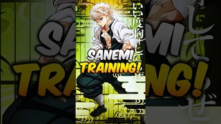 Sanemi's TRAINING Regimen Explained! (HashiraTraining Arc)