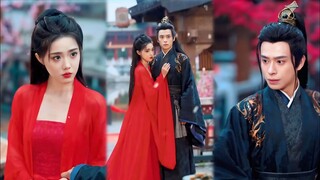 " Reinkarnasi! Akan aku balas kalian yang menyakitiku di kehidupan lalu "