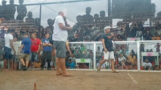 Talo ang Melsims-Popeye Lihaylihay