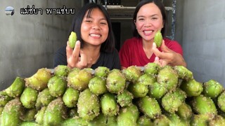 ตะลิงปิงเขย่ายั่วๆจ้า | แม่ชบา พาแซ่บบ