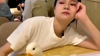 郑州一家合法鸭店！姐妹，玩鸭子么？