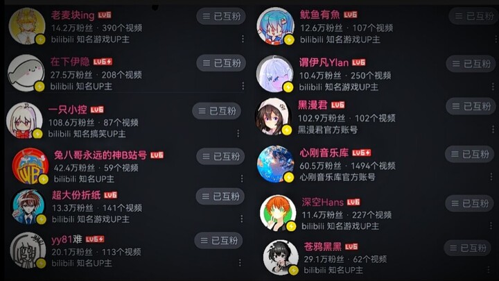 “The Bilibili People-Network King Segment”