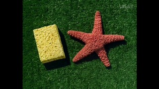 “这是什么地方啊”原版及后续