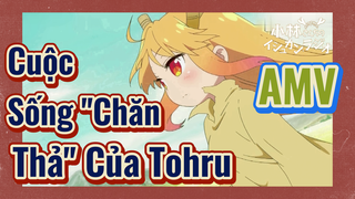 Hầu Gái Rồng Nhà Kobayashi] AMV | Cuộc Sống "Chăn Thả" Của Tohru