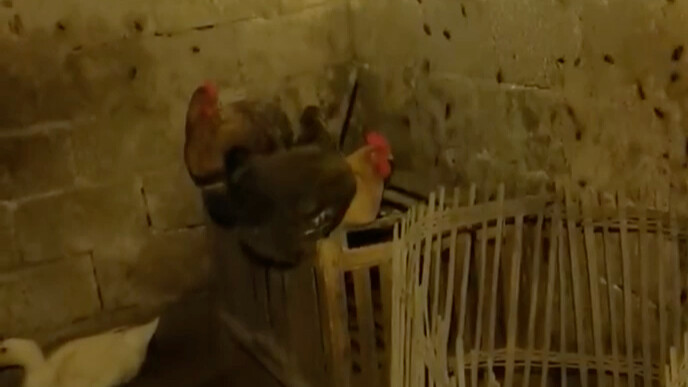 ประตูสู่นรก ผู้ขี้กลัวห้ามเข้า