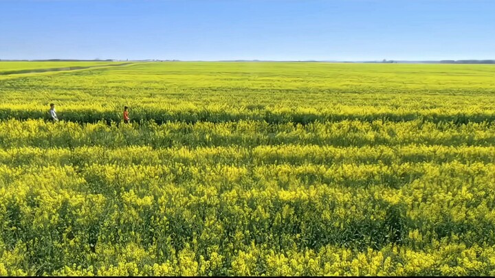 [portfolio]new media study : short-form& Rhythmic edits