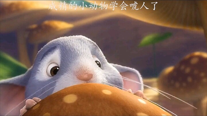 【Cô tiên kỳ diệu của Doraemon】Động vật đã thành tinh còn thông minh hơn cả con người đấy!