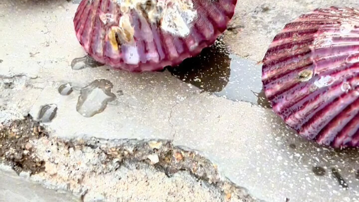 Ai uống sẽ nôn