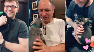 ทำเซอร์ไพรส์สามีและพ่อด้วยสุนัขในฝัน 😊😊Surprise Puppy Reaction