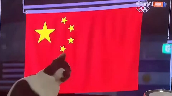 Turns out there are still so many patriotic animal comrades.