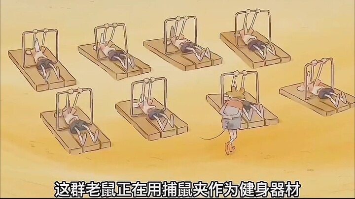 The friendship and love between the cat and the mouse.