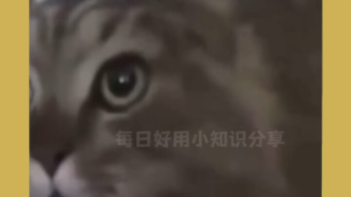 Quan trọng nhất là bản thân phải có khả năng chịu đựng rủi ro #ChiaSẻ #KinhNghiệmSống #BệnhViện #Khá