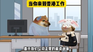 当你第一次来到香港工作