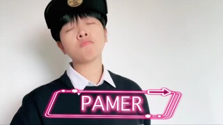 PAMER