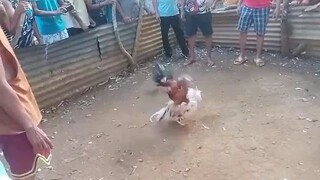 2nd  fight anak ng malatuba ko