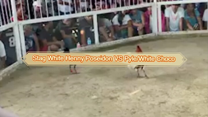 Black henny Poseidon Vs Pyle/ Black Choco