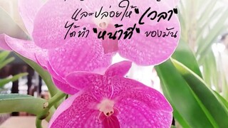 ขอให้เป็นวันที่ดี