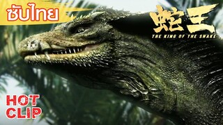 Clip | ซับไทย | วางกับดักหวังจับราชางูแต่ไม่สำเร็จ | ราชางู (The King of The snake) | แอคชั่น ผจญภัย