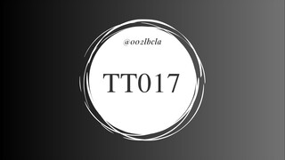 TT017