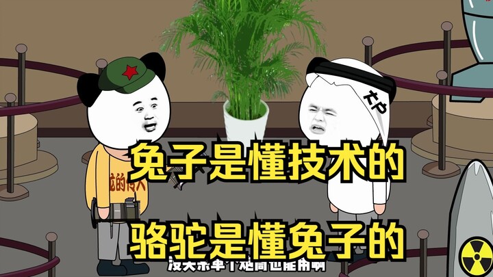 兔子是懂技术的，骆驼是懂兔子的