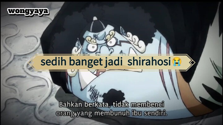 INI ALASAN SHIRAHOSI BAIK BANGET! PESAN IBUNYA DALEM. BANGET🥺