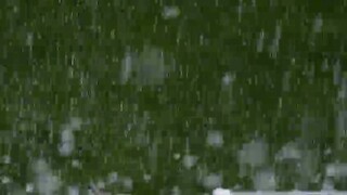 hailstones on grass