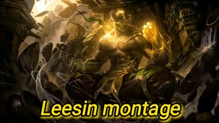 leesin montage