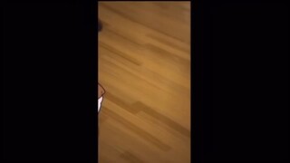 Anime cực kì mãn nhãn p7🤣