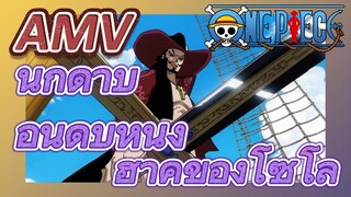 [วันพีซ] AMV | นักดาบอันดับหนึ่ง ฮาคิของโซโล