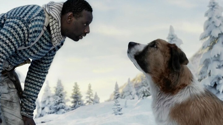 หนังตลกคะแนนสูง: หมาเทพที่ฟังรู้เรื่อง พูดเป็น แสดงอารมณ์เก่ง และวิ่งเร็วกว่าสายฟ้าใน “เสียงเรียกจาก