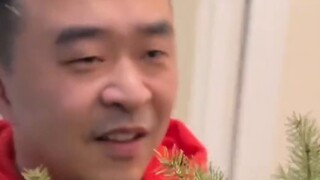 Saya tidak akan pernah membeli pohon Natal asli lagi.