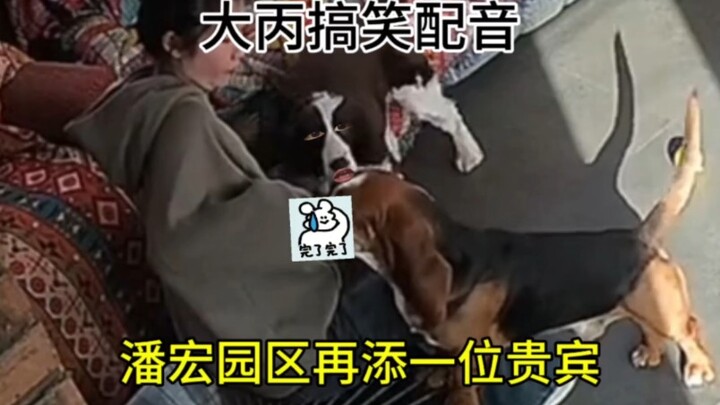 潘宏园区再添一位贵宾