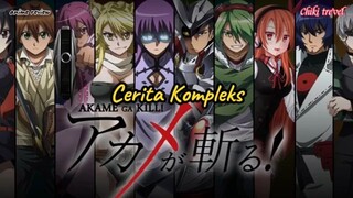 Cerita Kompleks anime akame ga kill