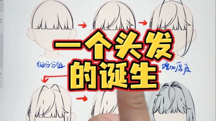 การกำเนิดของเส้นผม!